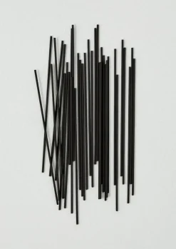 TOAST Bathroom|Candles & Holders*Chikuseiko Bamboo Charcoal Incense