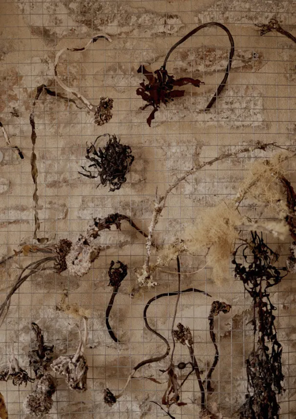 Women TOAST Jewellery*Emily Nixon Sculptural Rock Ring