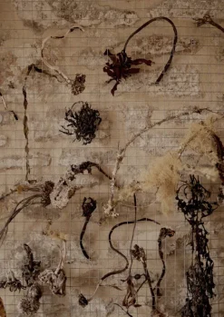 Women TOAST Jewellery*Emily Nixon Urchin Hoop Earrings