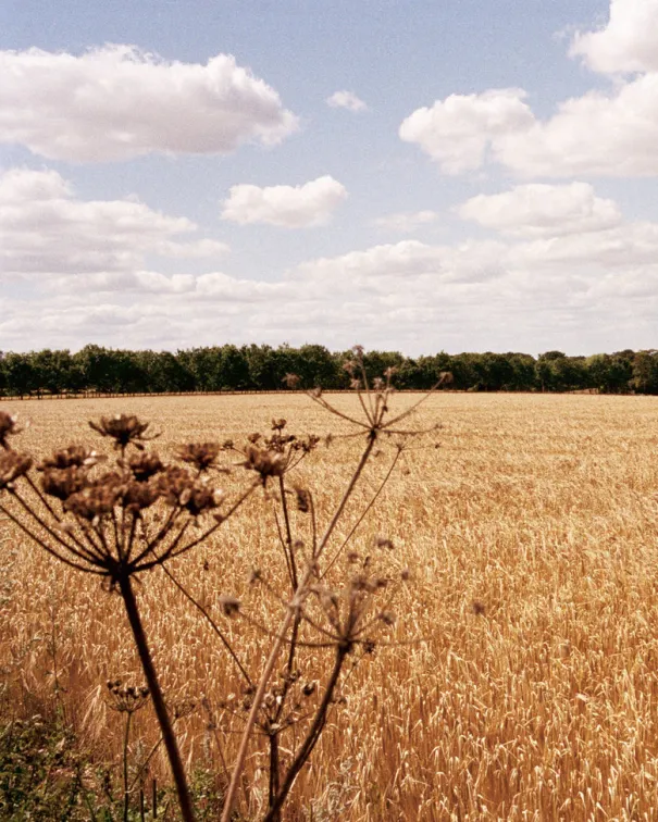 TOAST Stationery|Kitchen*Gather Cook Feast