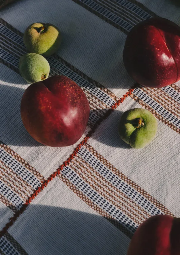 TOAST Textiles|Kitchen*Hand Woven Stripe Tablecloth