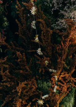 TOAST Christmas Decorations*Mini Palm Lokta Paper Garland