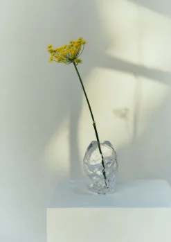 TOAST Glass|Decorative Pieces*Rosie Stonham Medium Membrane Vase