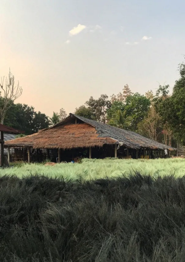 TOAST Outdoor|Kitchen*Sorghum Stripe Short Handled Brush