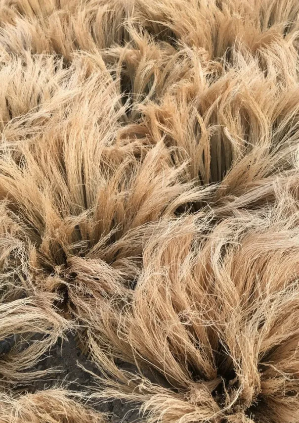 TOAST Outdoor|Kitchen*Sorghum Stripe Short Handled Brush