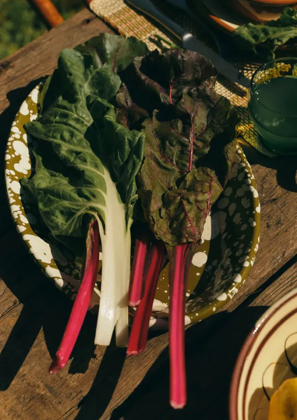 TOAST Outdoor|Kitchen*Splatter Enamel Platter